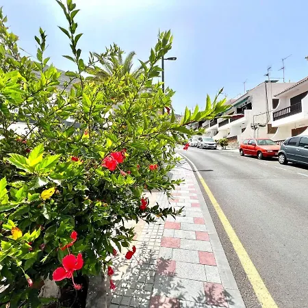 Cozy Apartment, Only 3 Min Walk From The Beach In Los Gigantes Appartement Acantilado de los Gigantes
